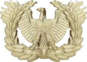 Insignia