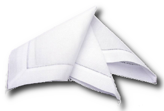 Napkin